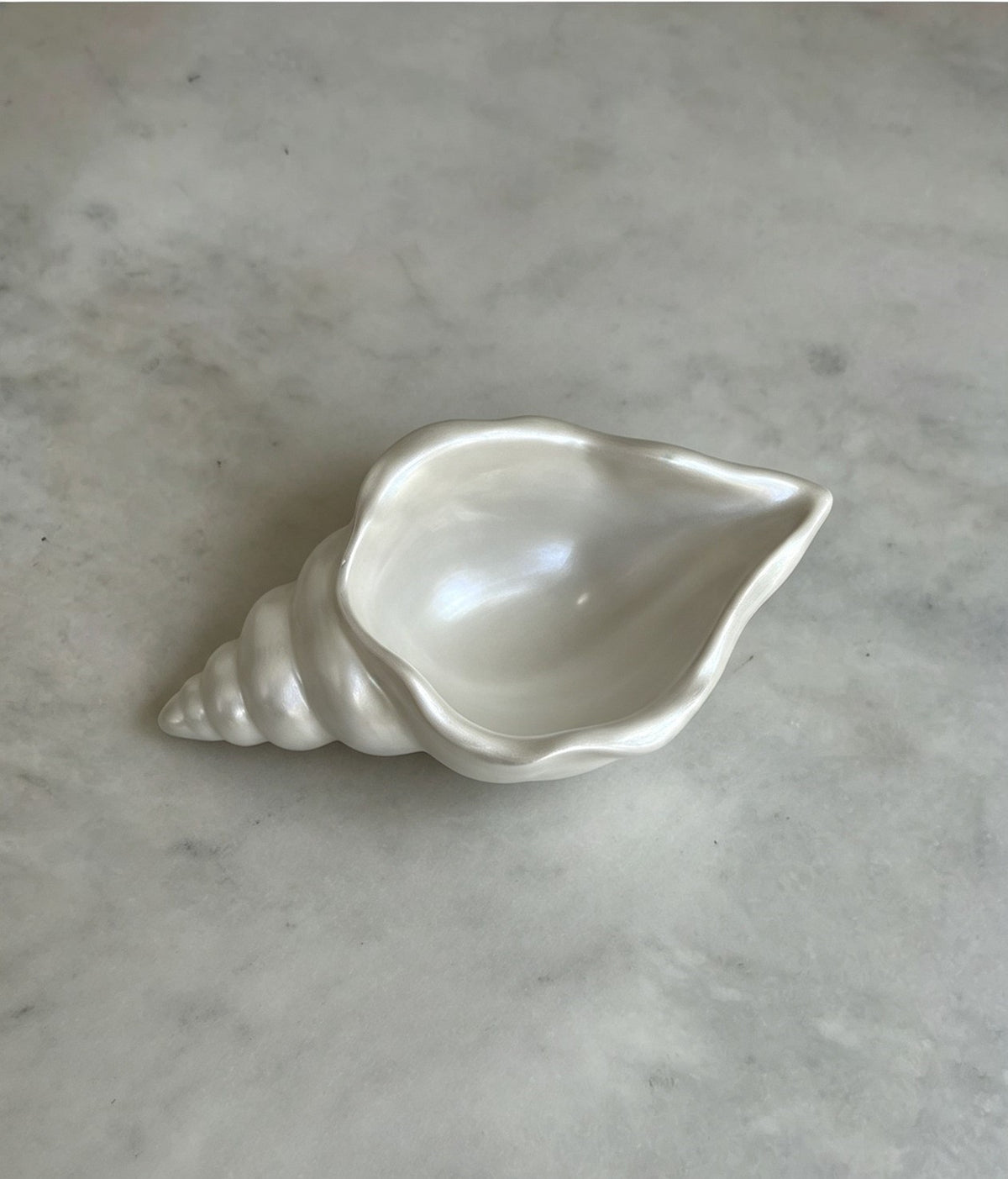 Seashell Dish